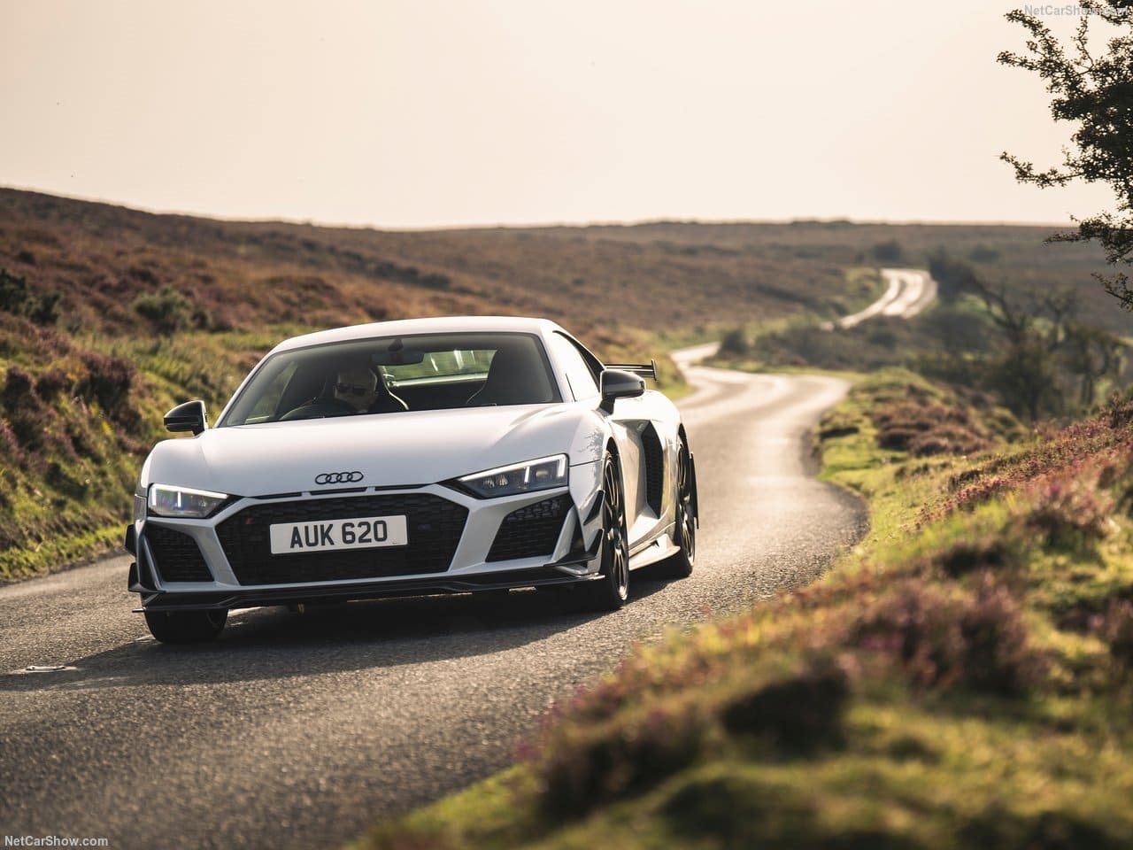 2023 - AUDI R8 COUPE V10 GT RWD UK VERSION, foto 6