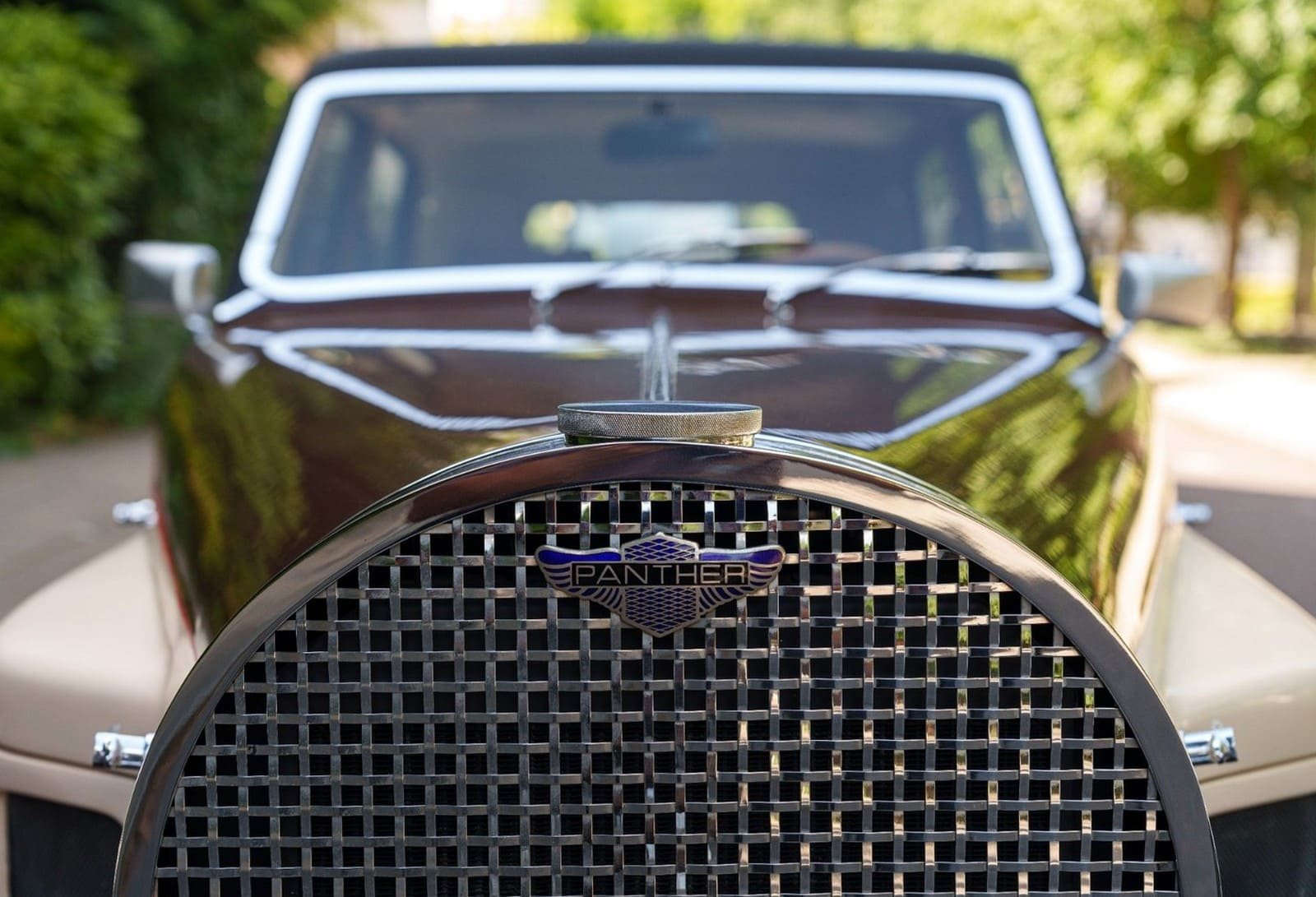 PANTHER DE VILLE V12, foto 8