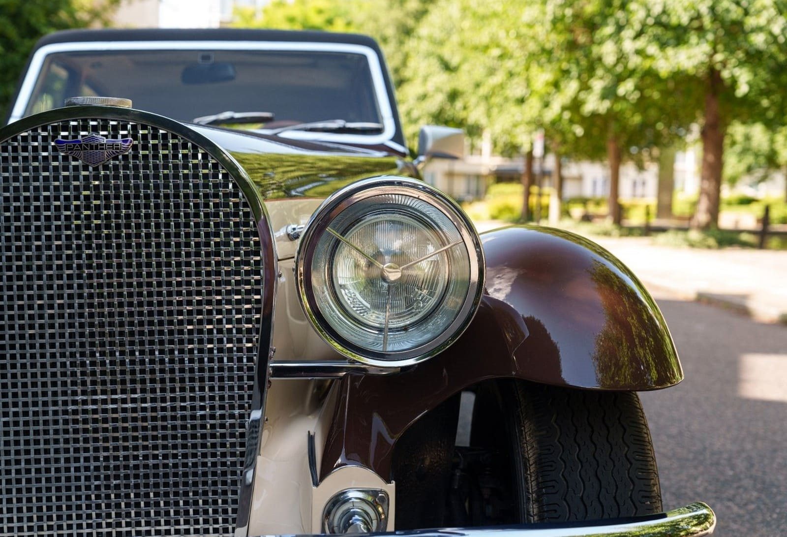 PANTHER DE VILLE V12, foto 9