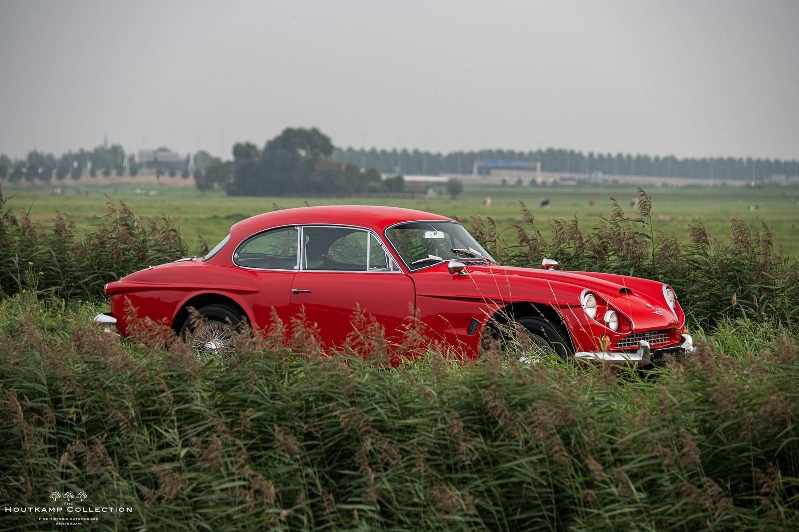 1965 - JENSEN C-V8 COUPE, foto 2