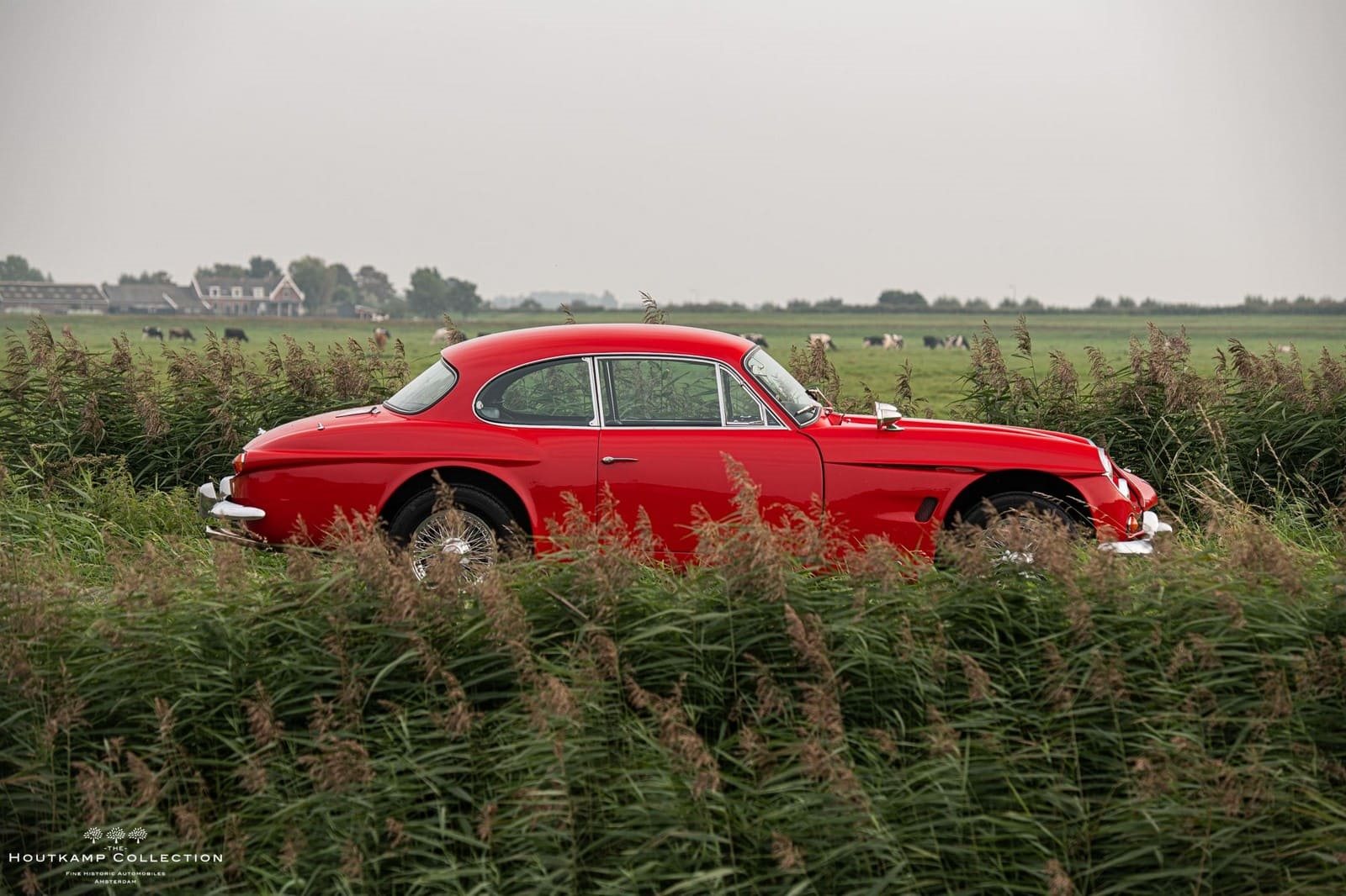 1965 - JENSEN C-V8 COUPE, foto 3