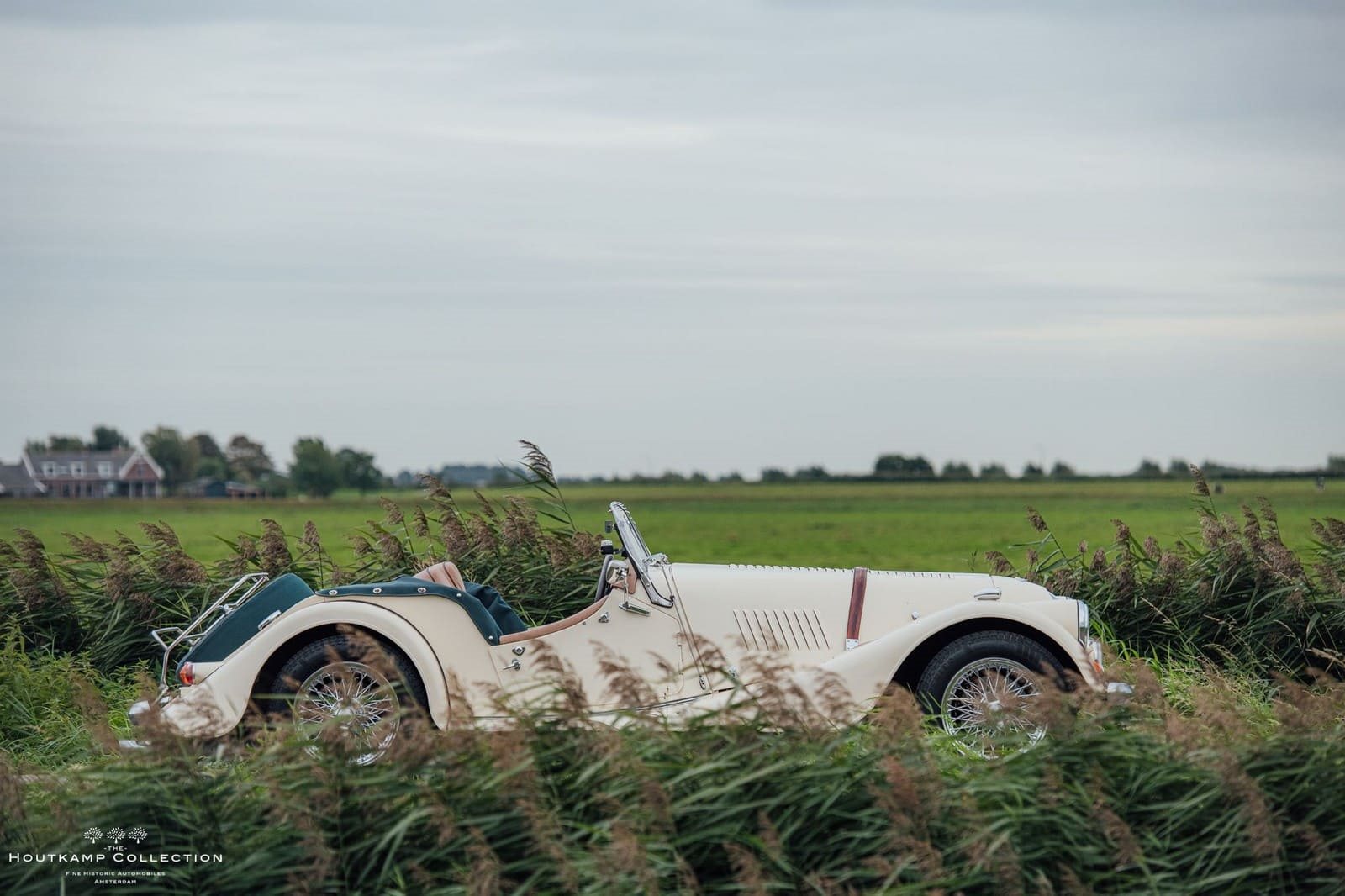 1986 - MORGAN PLUS 8 ROADSTER, foto 9