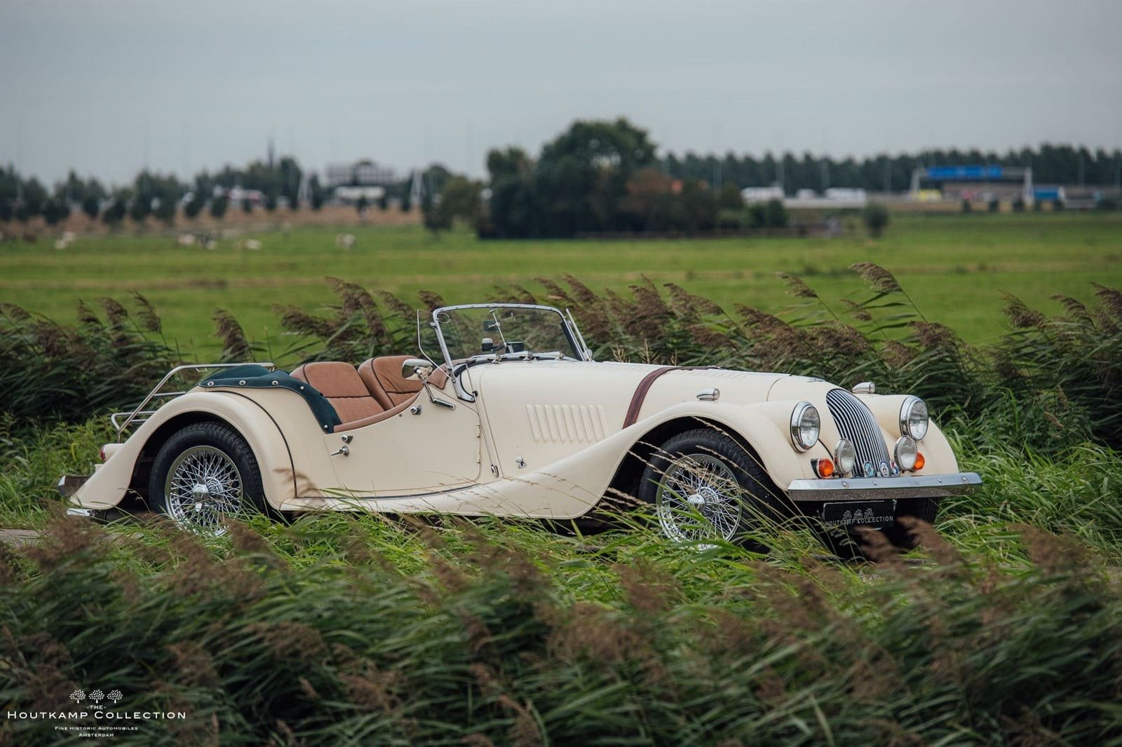 1986 - MORGAN PLUS 8 ROADSTER, foto 10