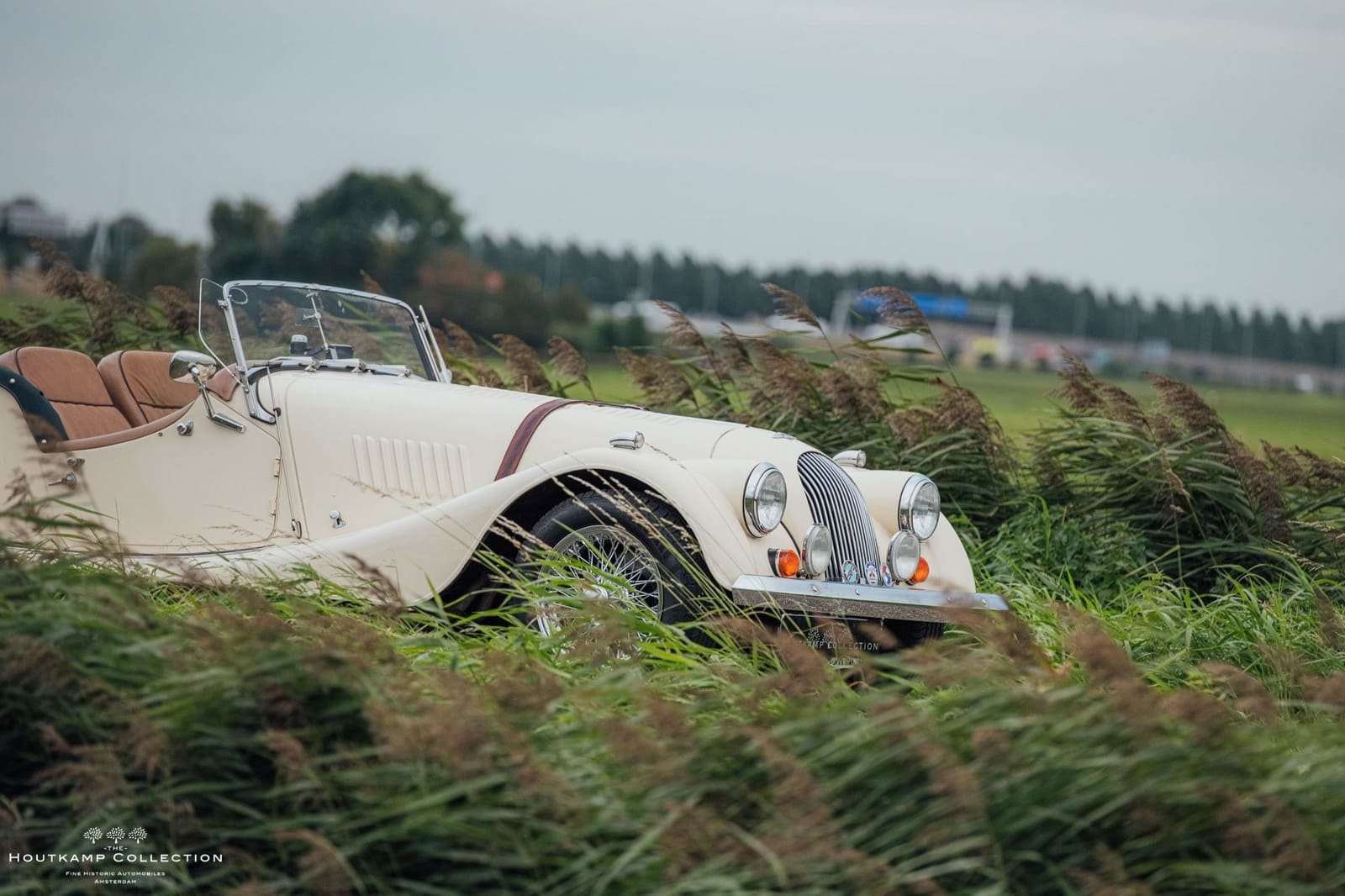 1986 - MORGAN PLUS 8 ROADSTER, foto 12