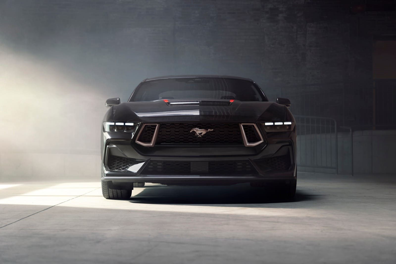 FORD MUSTANG TLD SIGNATURE EDITION, foto 4