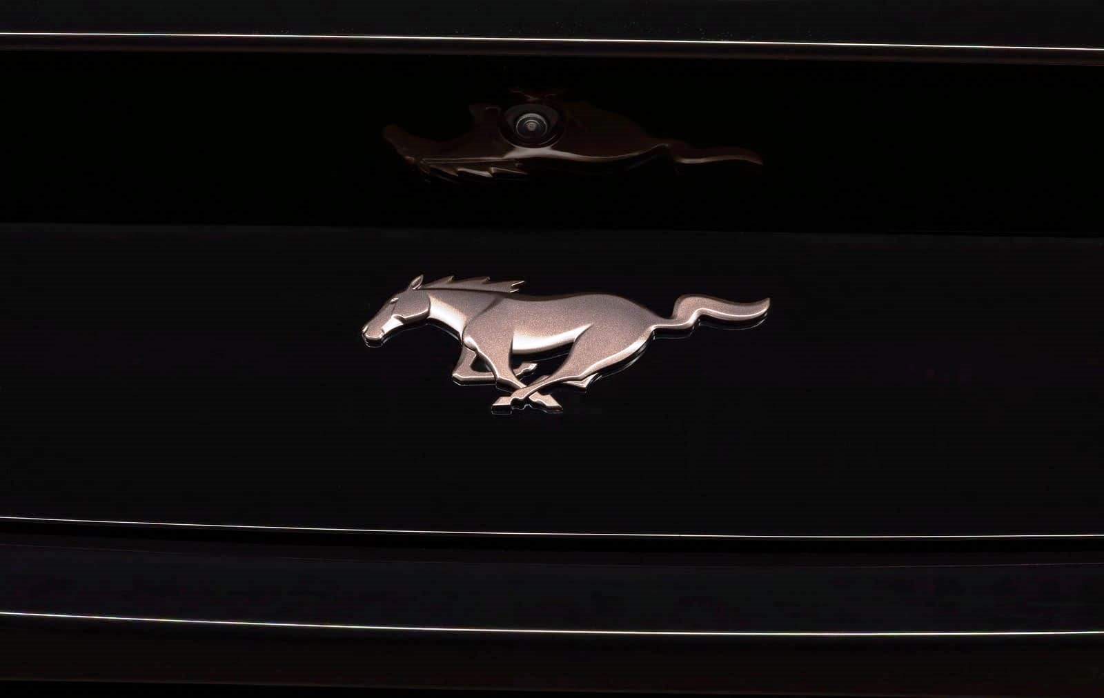 FORD MUSTANG TLD SIGNATURE EDITION, foto 6