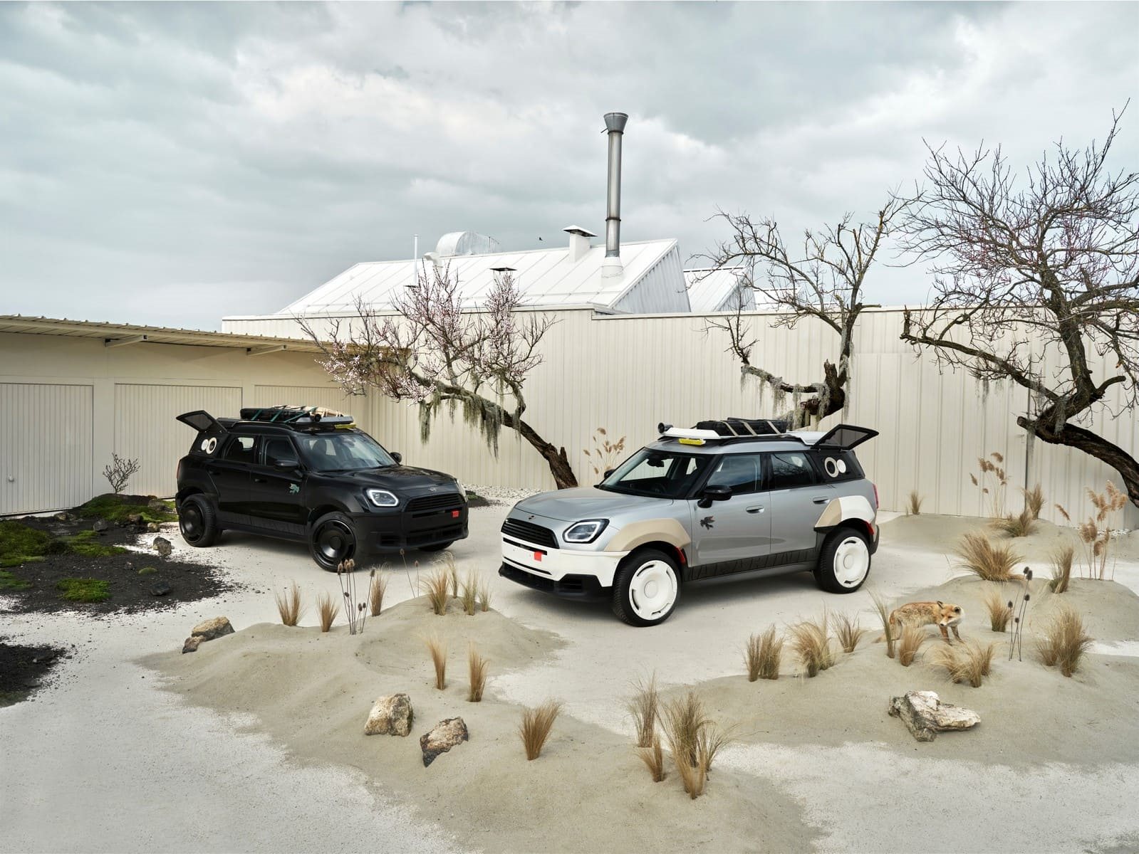 MINI COUNTRYMAN BY VAGABUND, foto 59