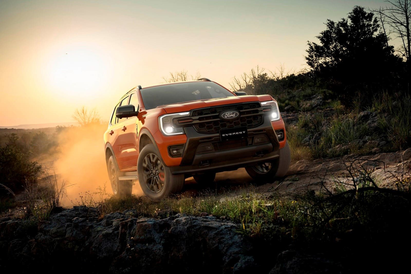 2026 - FORD EVEREST WILDTRAK EDITION, foto 1