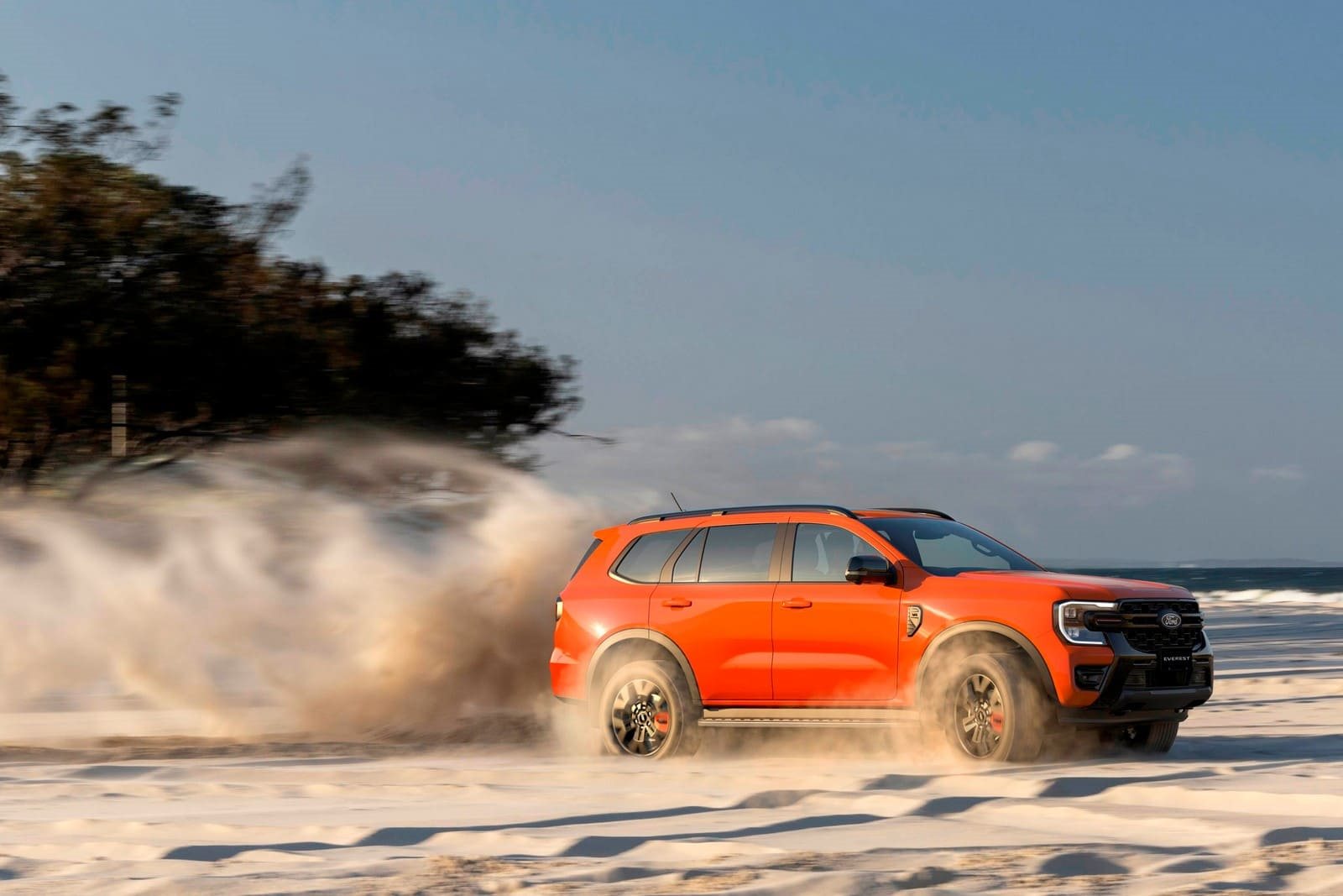 2026 - FORD EVEREST WILDTRAK EDITION, foto 2