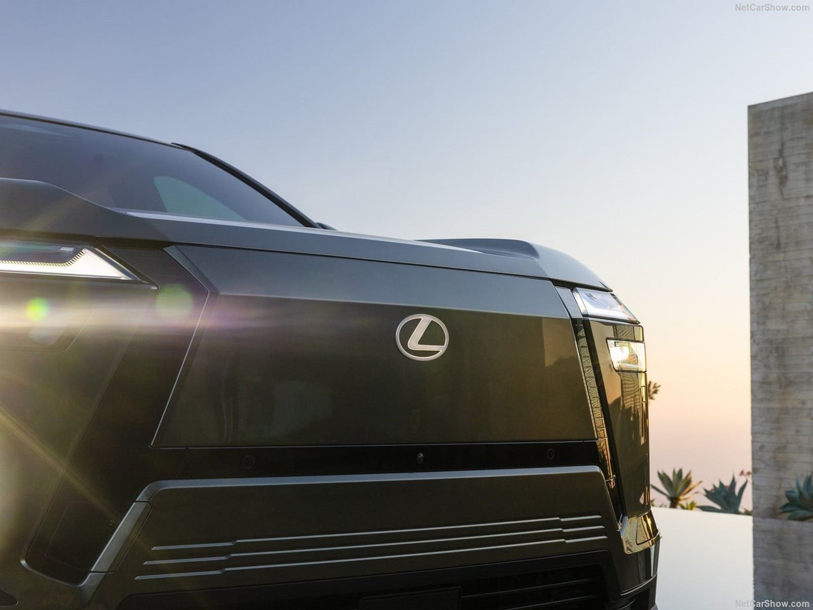 LEXUS TZ, foto 83