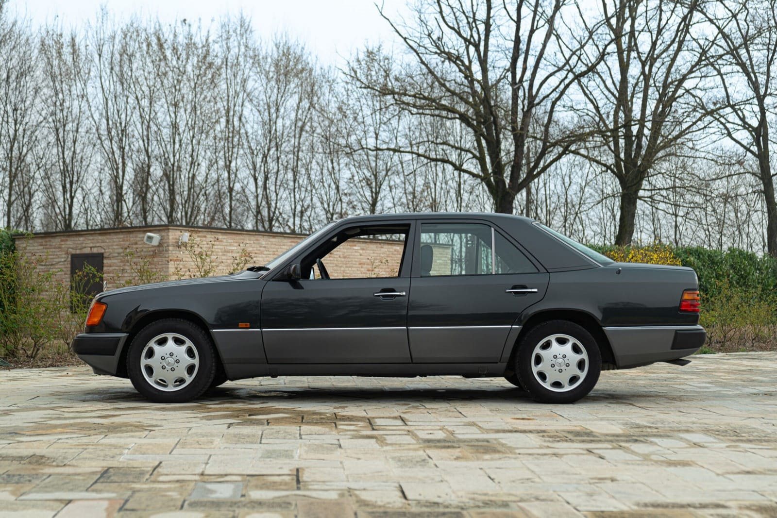 1993 - MERCEDES-BENZ 320 E, foto 5