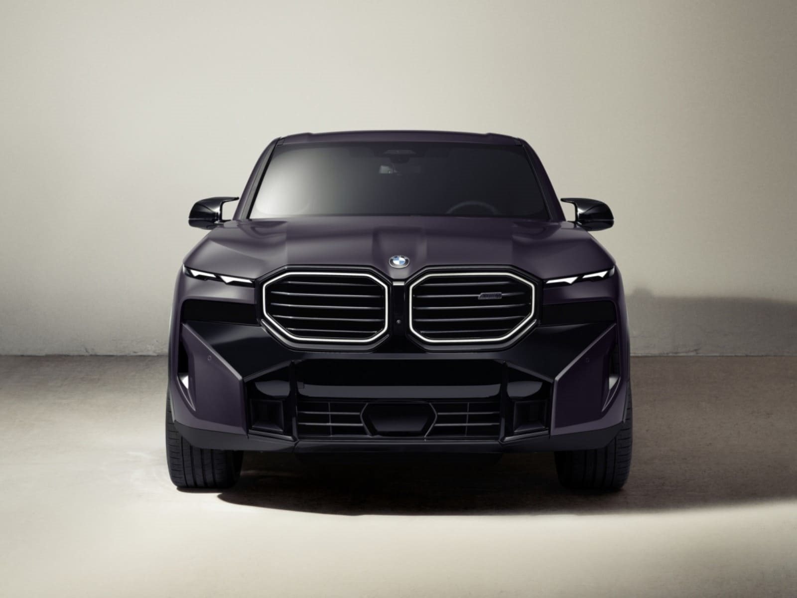 2026 - BMW XM LABEL KITH EDITION, foto 3