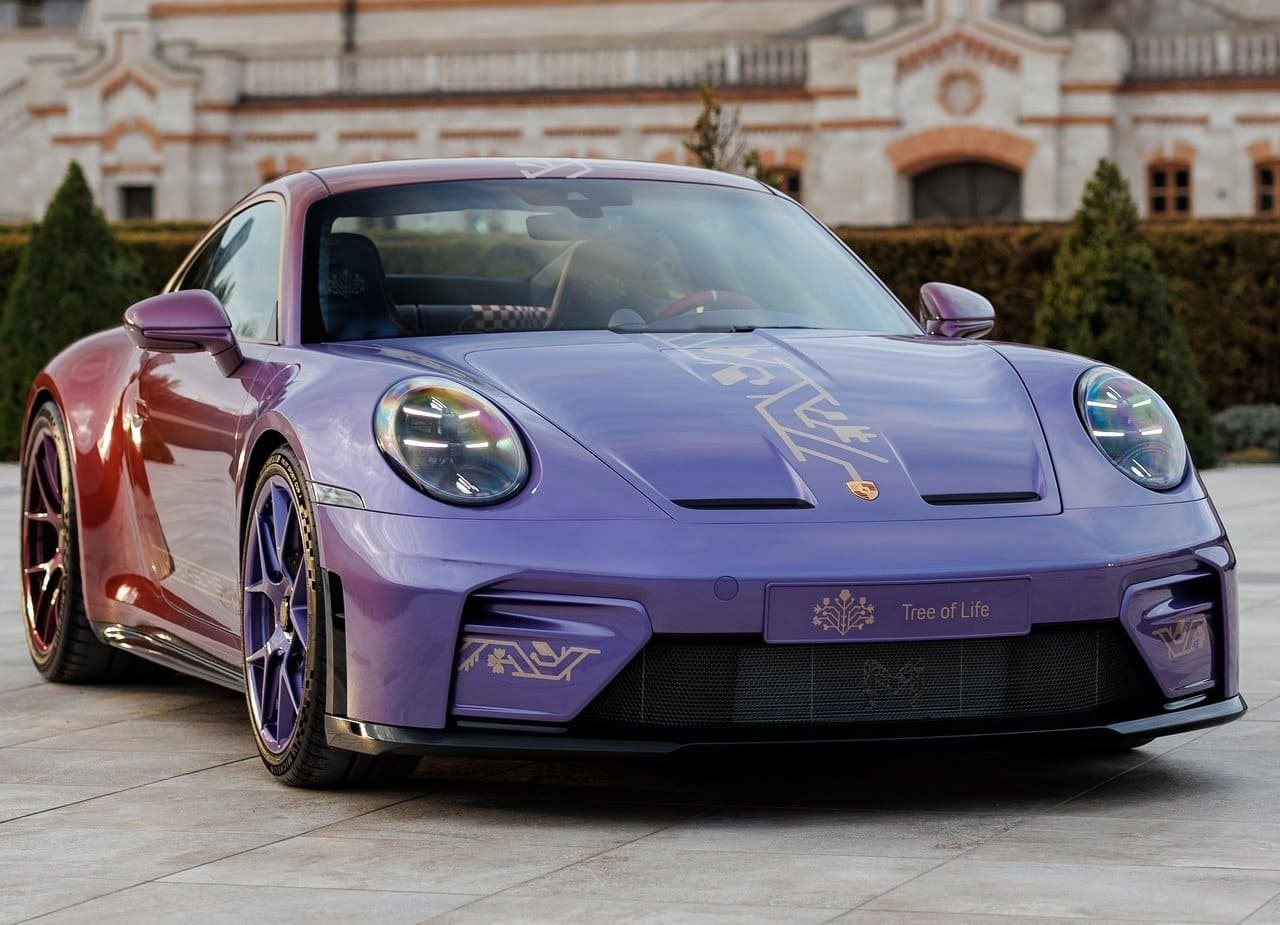 PORSCHE 911 GT3 TOURING ‘TREE OF LIFE’, foto 2