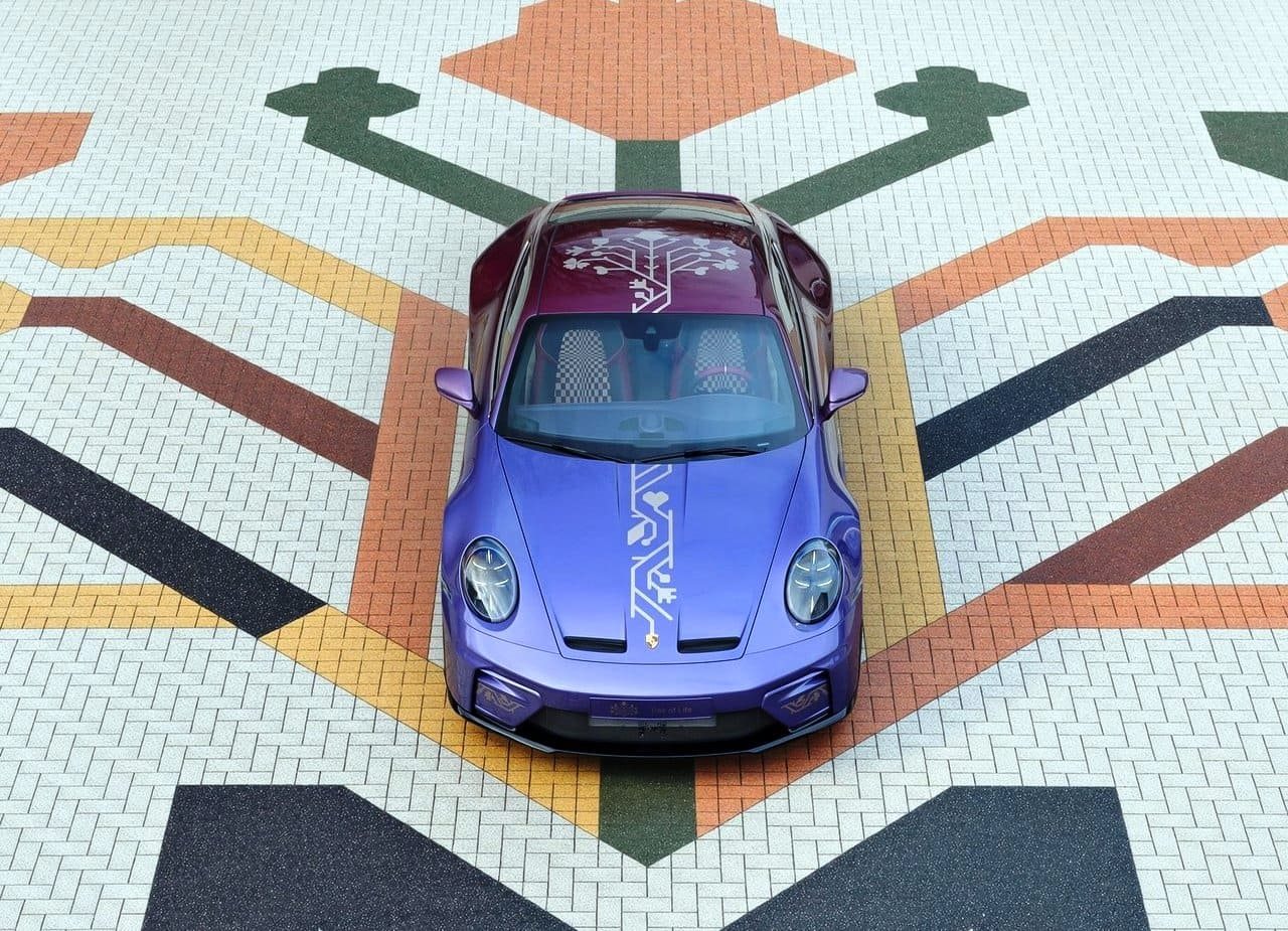 PORSCHE 911 GT3 TOURING ‘TREE OF LIFE’, foto 7