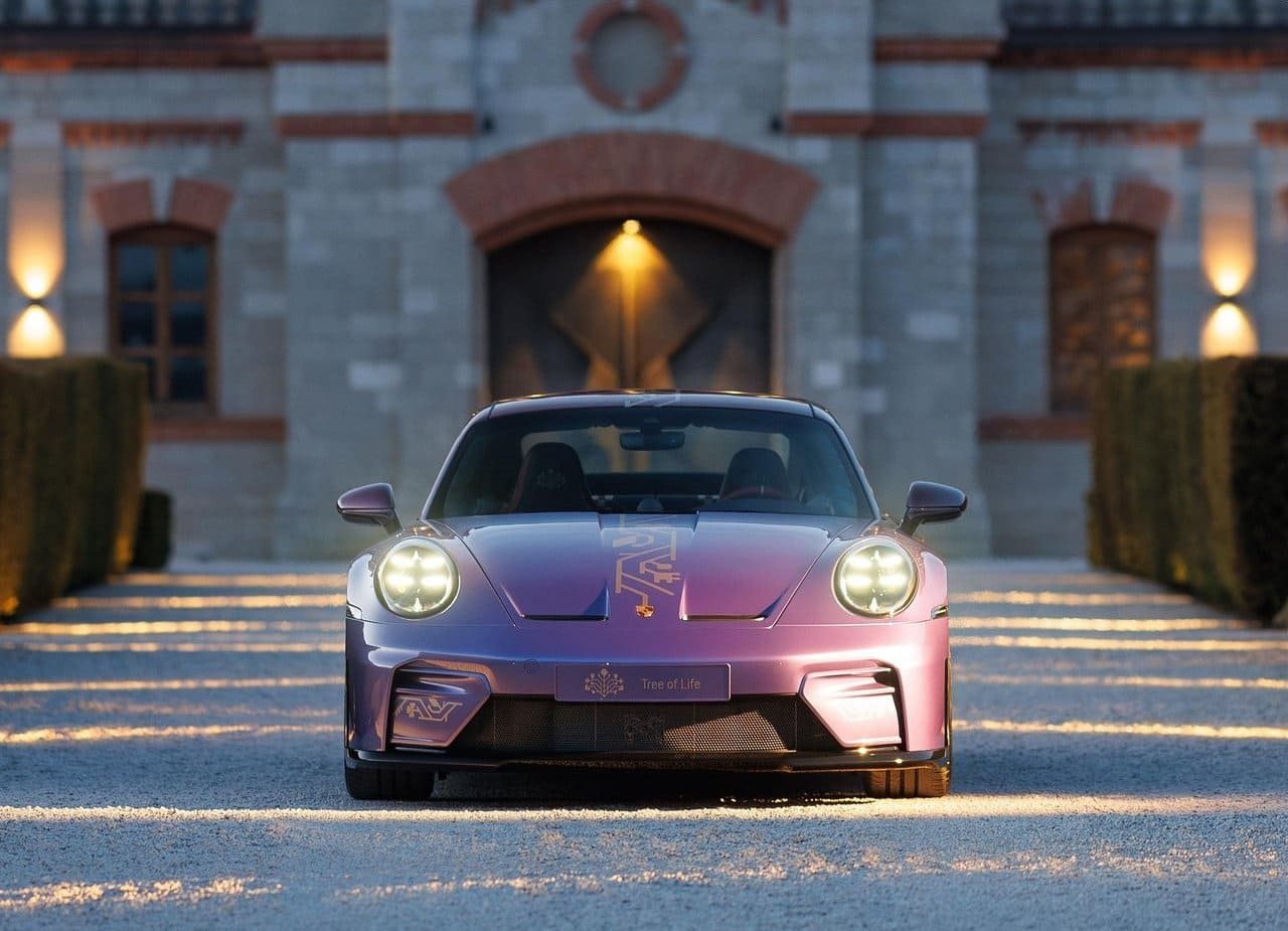 PORSCHE 911 GT3 TOURING ‘TREE OF LIFE’, foto 8
