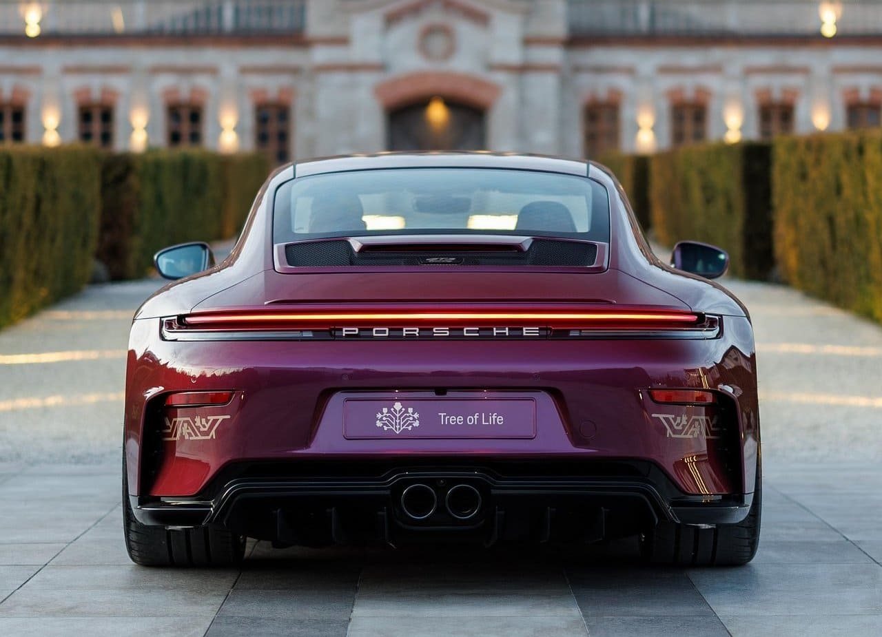 PORSCHE 911 GT3 TOURING ‘TREE OF LIFE’, foto 9