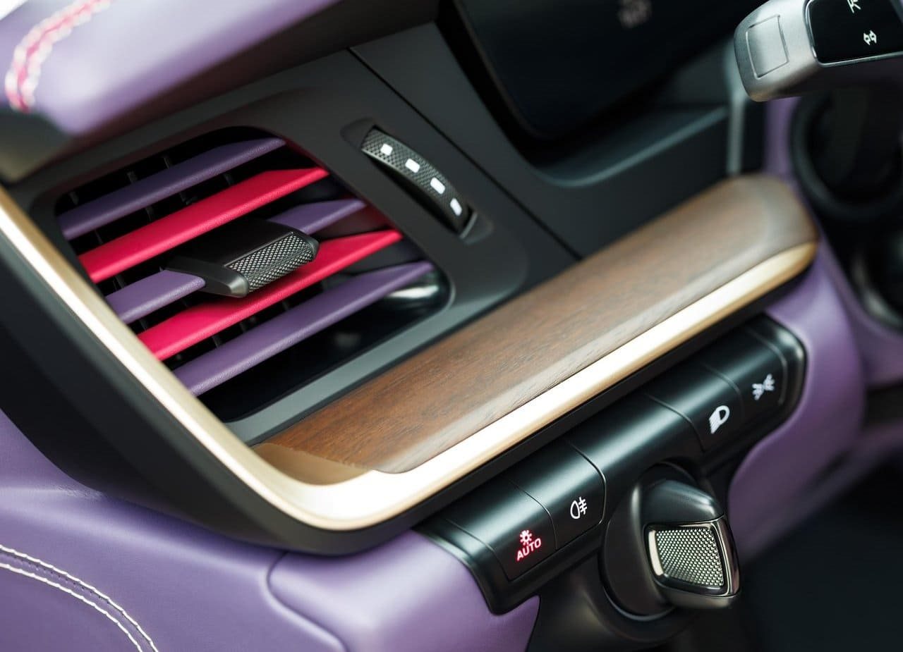 PORSCHE 911 GT3 TOURING ‘TREE OF LIFE’, foto 14