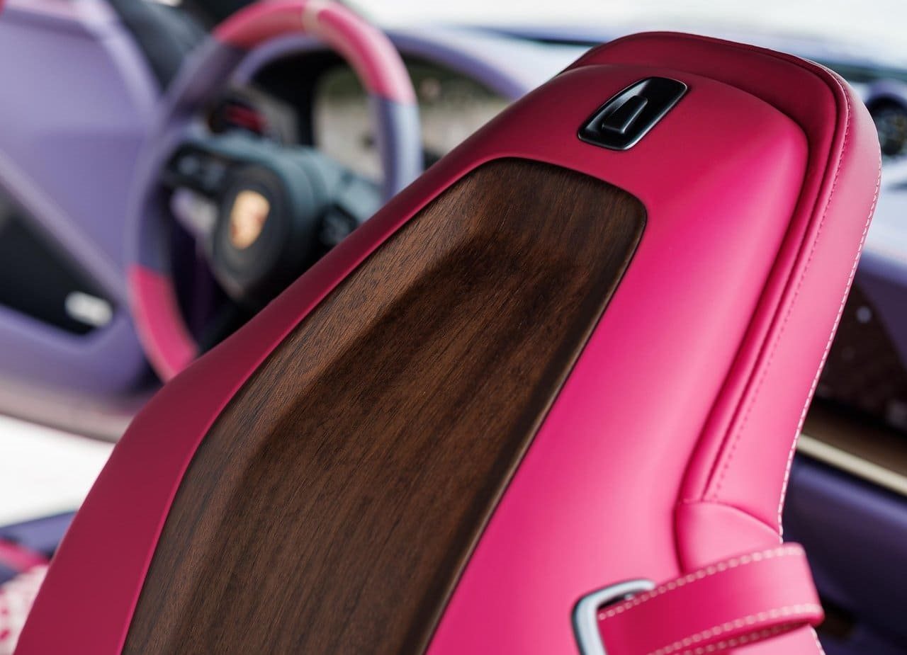 PORSCHE 911 GT3 TOURING ‘TREE OF LIFE’, foto 15