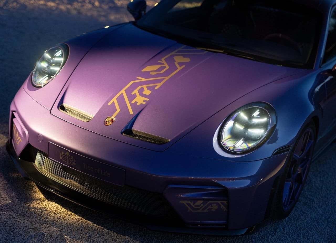 PORSCHE 911 GT3 TOURING ‘TREE OF LIFE’, foto 17