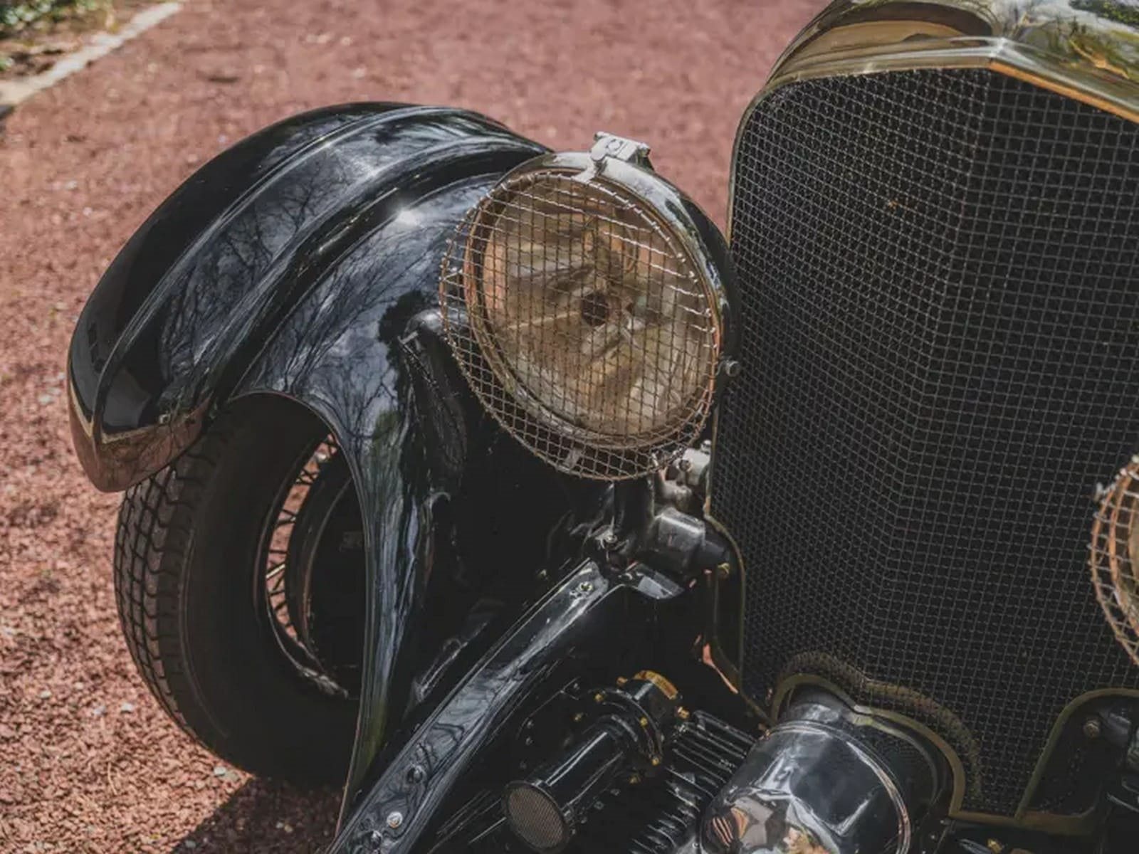 1927 - BENTLEY 6.5 LITRE SHORT CHASSIS ‘BOB-TAIL’ CORSICA TOURER, foto 13