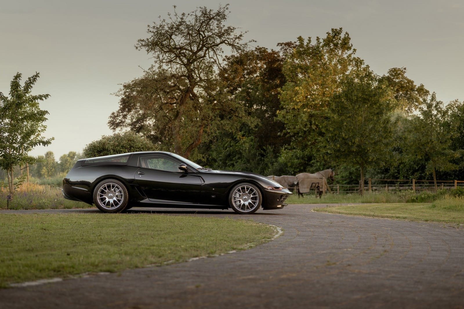 FERRARI DAYTONA SHOOTING BRAKE HOMMAGE, foto 8
