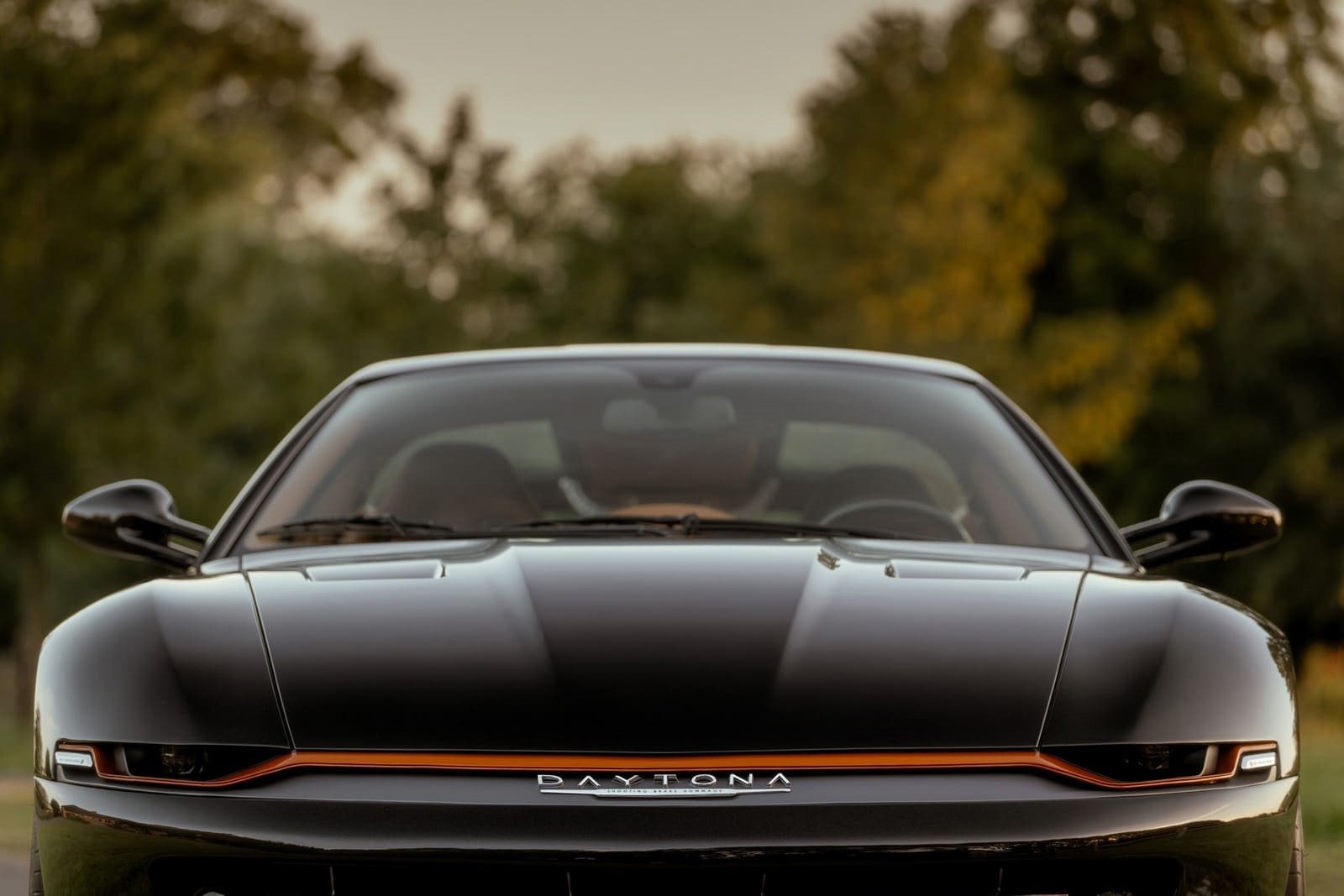 FERRARI DAYTONA SHOOTING BRAKE HOMMAGE, foto 15