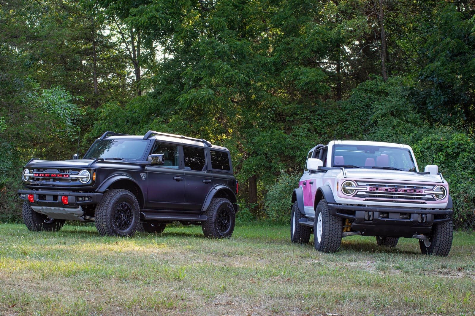 2026 - FORD BRONCO DESERT RISING EDITION, foto 2
