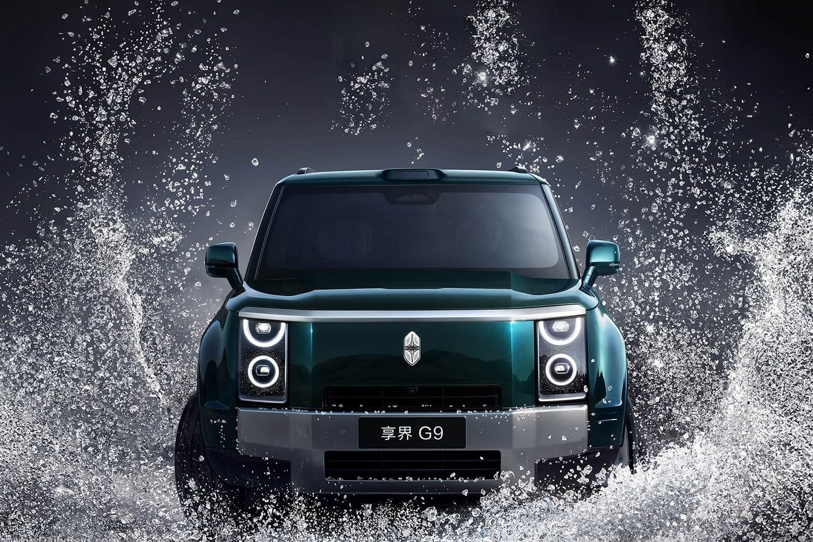 2027 - STELATO G9, foto 6