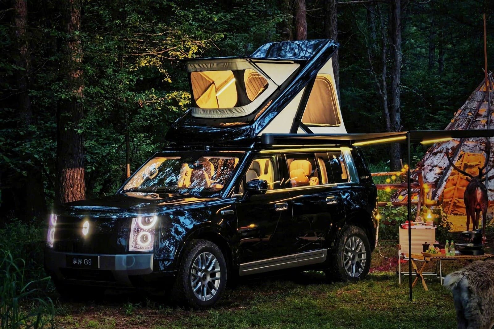 2027 - STELATO G9, foto 7