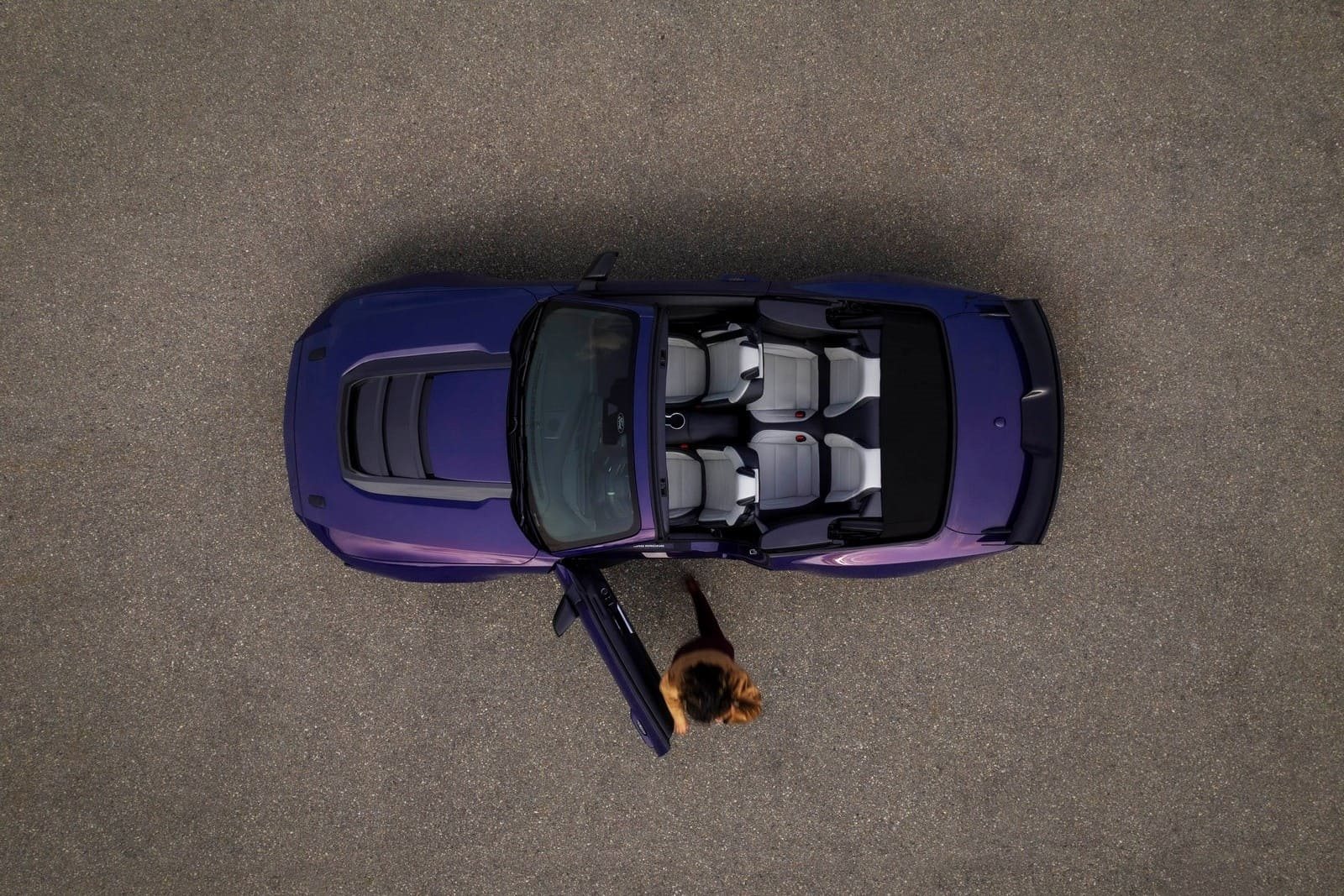 2027 - FORD MUSTANG DARK HORSE SC CONVERTIBLE, foto 9