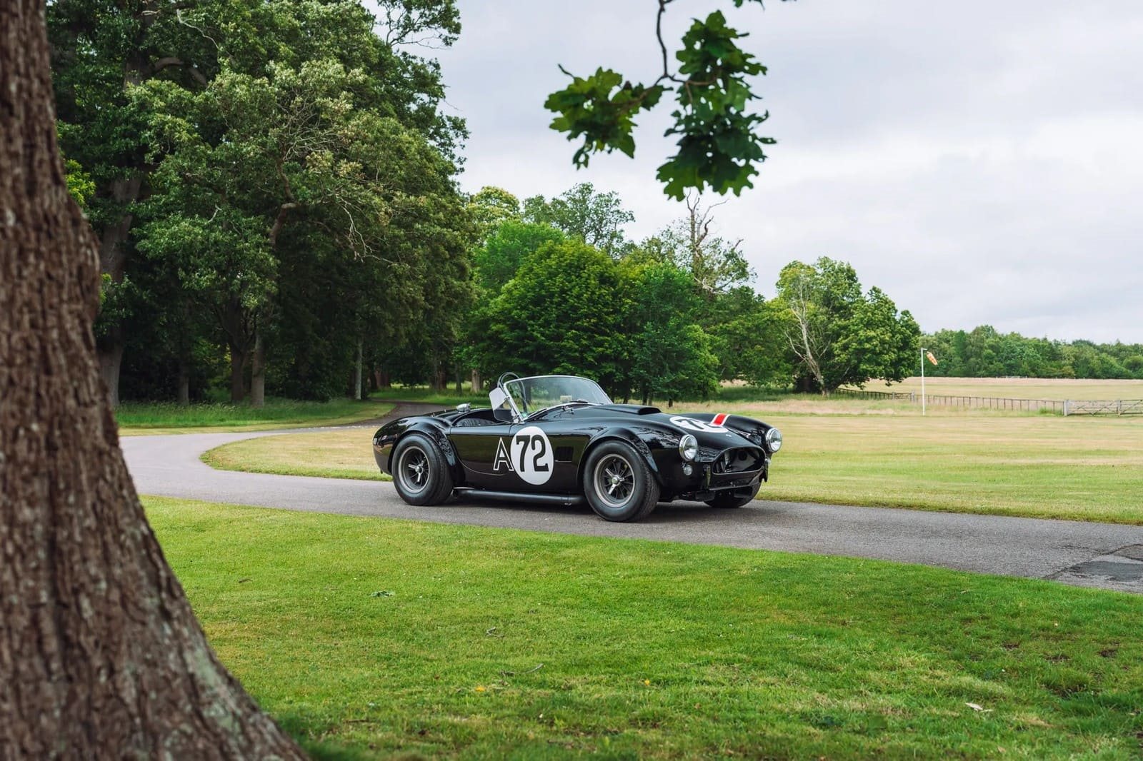 1964 - AC SHELBY COBRA 289 INDEPENDENT COMPETITION, foto 5