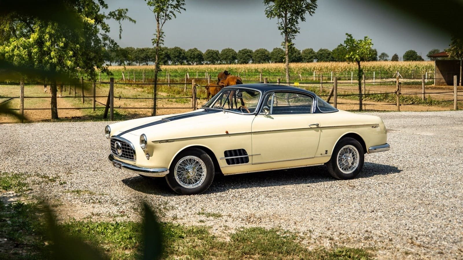 1957 - FIAT 1100 TV VIGNALE COUPÉ PRINTEMPS, foto 1