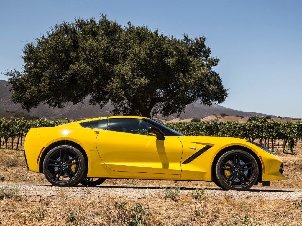 CORVETTE STINGRAY FAZ SUA PRIMEIRA APARIÇÃO OFICIAL NO BRASIL, foto 12