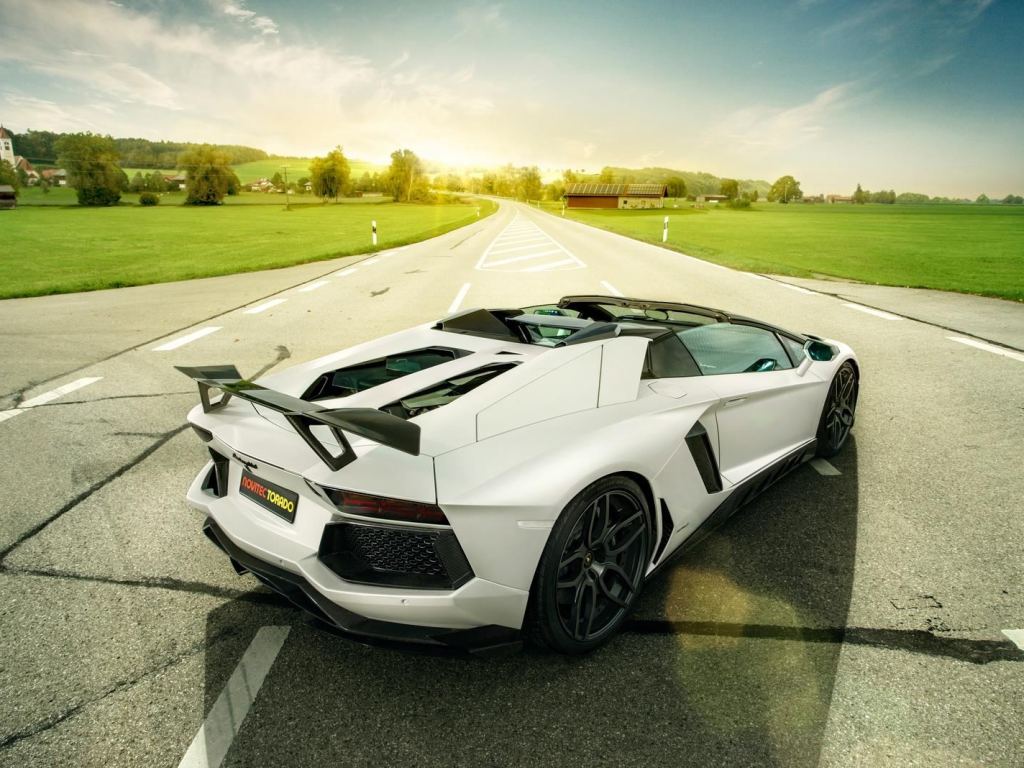 LAMBORGHINI AVENTADOR ROADSTER NOVITEC TORADO, foto 2
