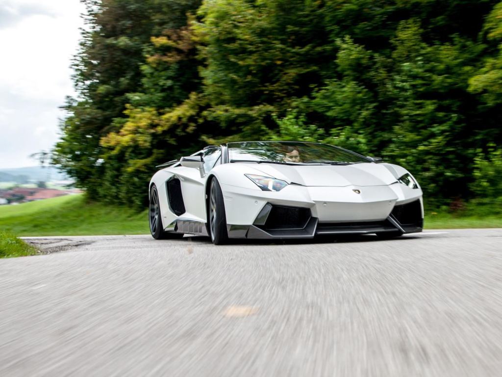 LAMBORGHINI AVENTADOR ROADSTER NOVITEC TORADO, foto 5