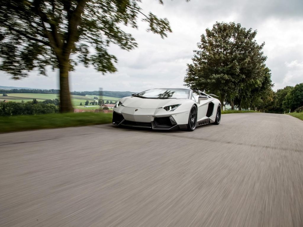 LAMBORGHINI AVENTADOR ROADSTER NOVITEC TORADO, foto 6