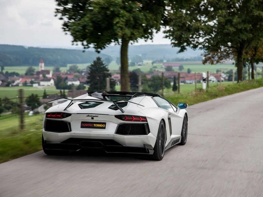 LAMBORGHINI AVENTADOR ROADSTER NOVITEC TORADO, foto 7