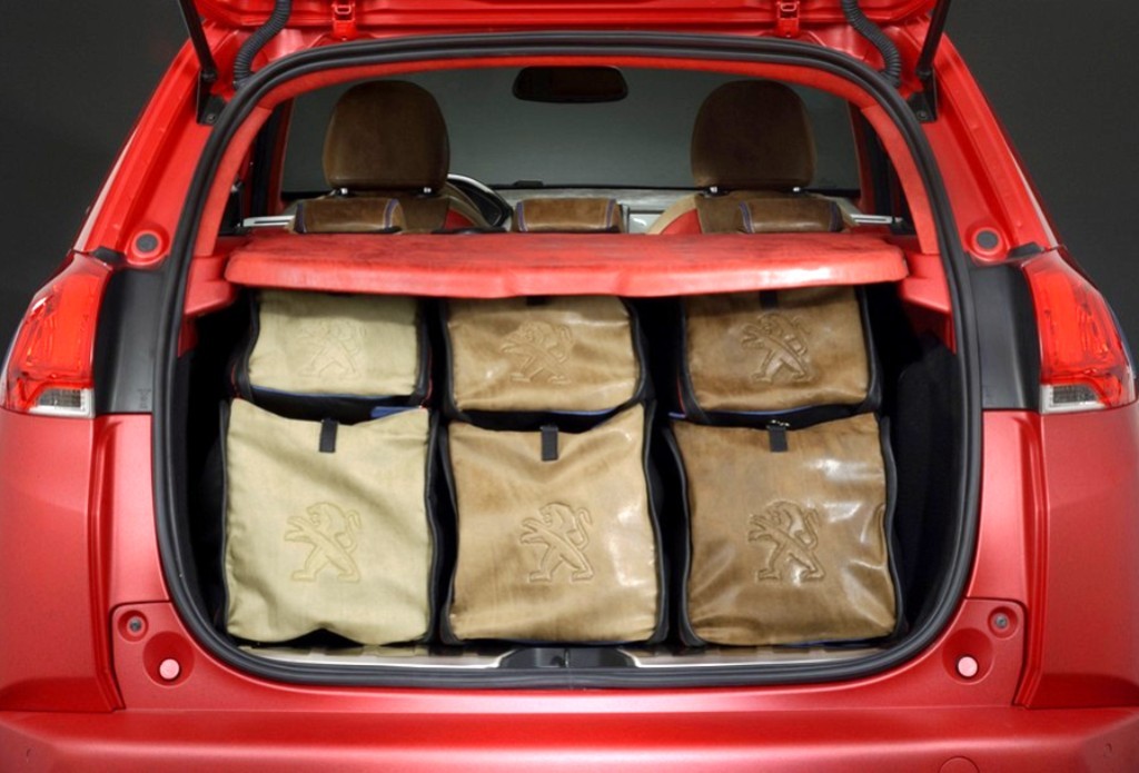 CASTAGNA PERSONALIZA O PEUGEOT 2008, foto 10
