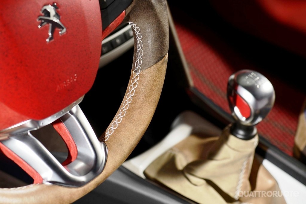 CASTAGNA PERSONALIZA O PEUGEOT 2008, foto 15