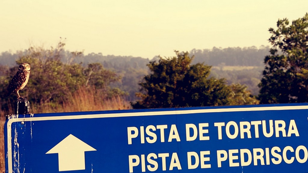 PIONEIRO NO PAÍS, CAMPO DE PROVAS DA GM COMPLETA 40 ANOS, foto 3
