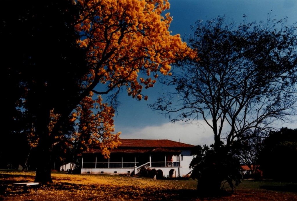PIONEIRO NO PAÍS, CAMPO DE PROVAS DA GM COMPLETA 40 ANOS, foto 25