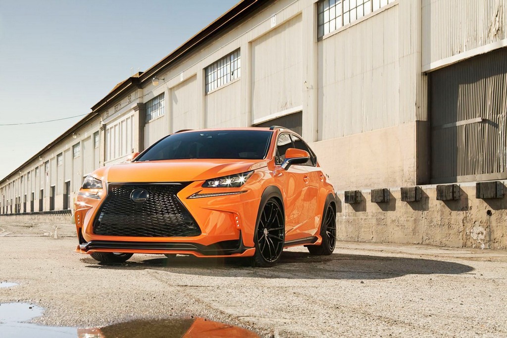 LEXUS NX 200t F-SPORT 360 ELITE MOTORSPORTS, foto 6