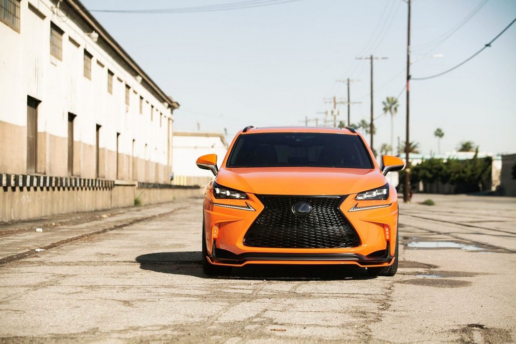 LEXUS NX 200t F-SPORT 360 ELITE MOTORSPORTS, foto 7