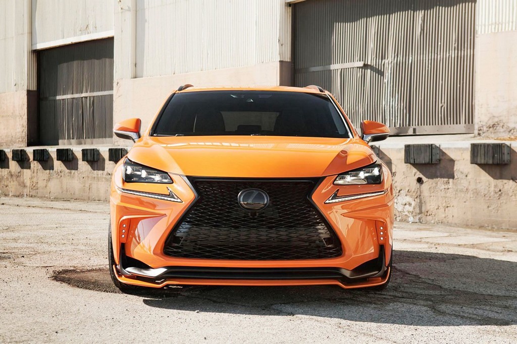 LEXUS NX 200t F-SPORT 360 ELITE MOTORSPORTS, foto 11