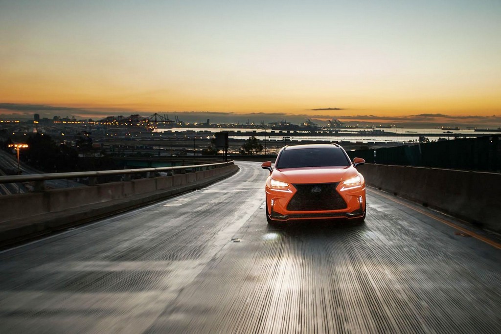 LEXUS NX 200t F-SPORT 360 ELITE MOTORSPORTS, foto 12