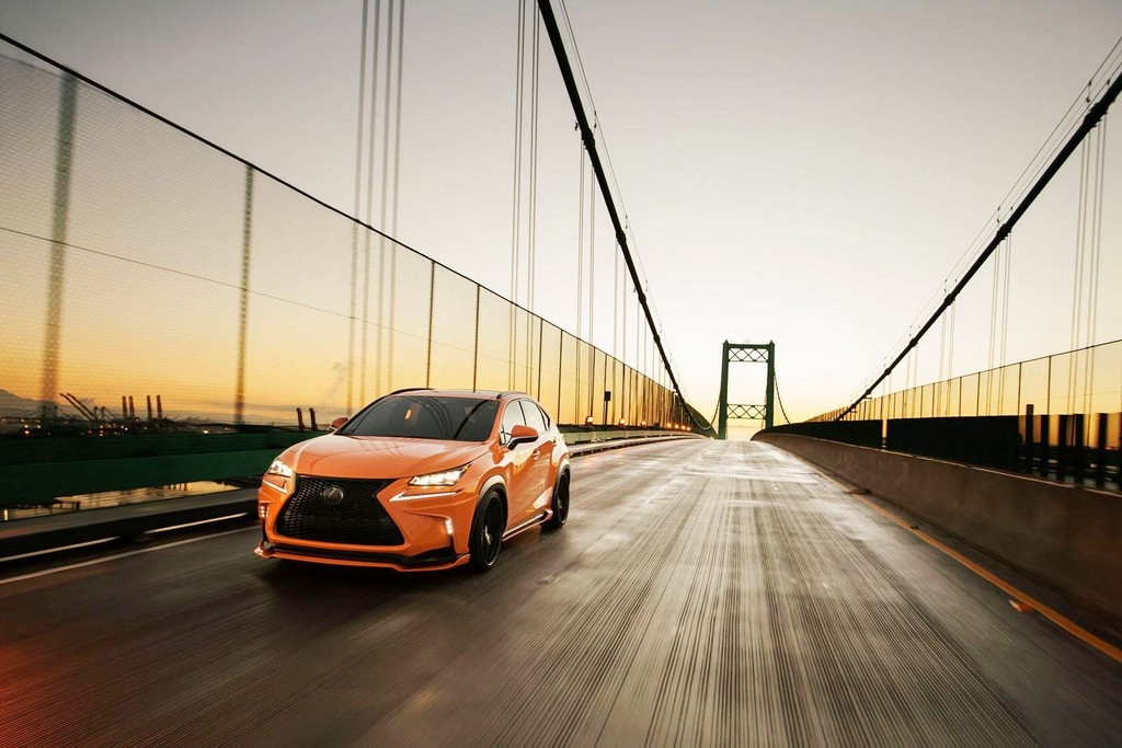 LEXUS NX 200t F-SPORT 360 ELITE MOTORSPORTS, foto 14