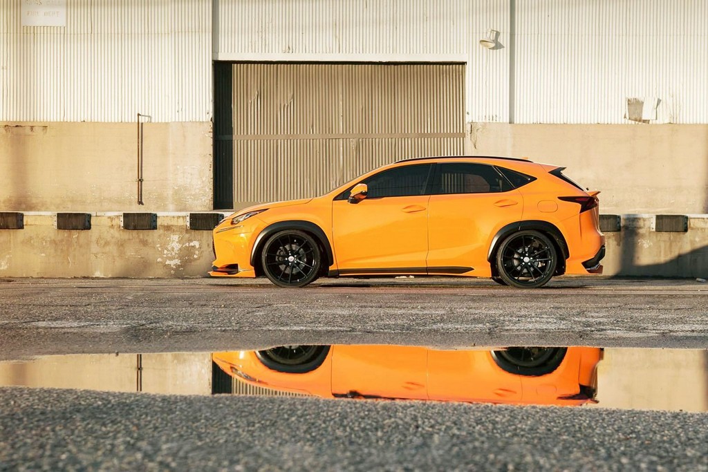 LEXUS NX 200t F-SPORT 360 ELITE MOTORSPORTS, foto 15