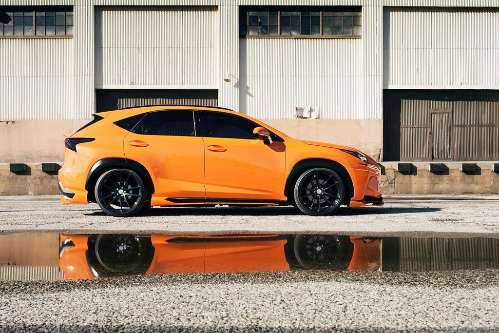 LEXUS NX 200t F-SPORT 360 ELITE MOTORSPORTS, foto 16