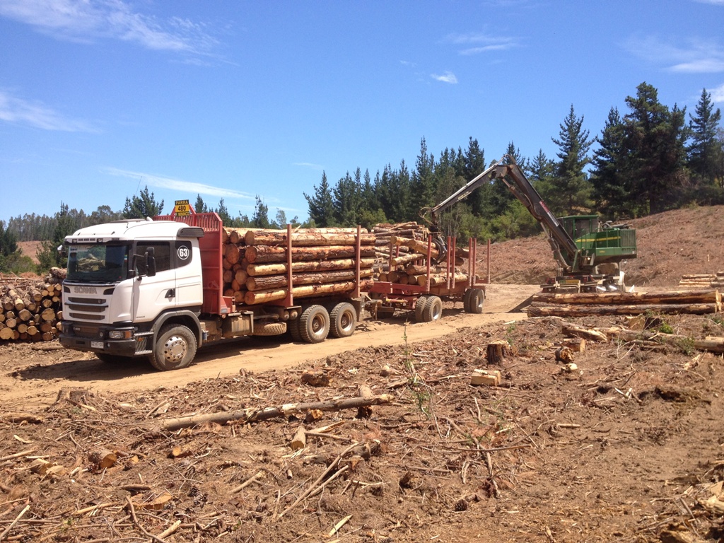 SCANIA AUMENTA PARTICIPAÇÃO NO MERCADO CHILENO, foto 3