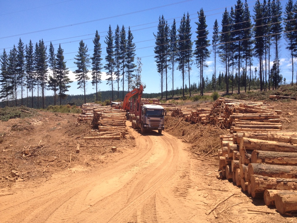 SCANIA AUMENTA PARTICIPAÇÃO NO MERCADO CHILENO, foto 4